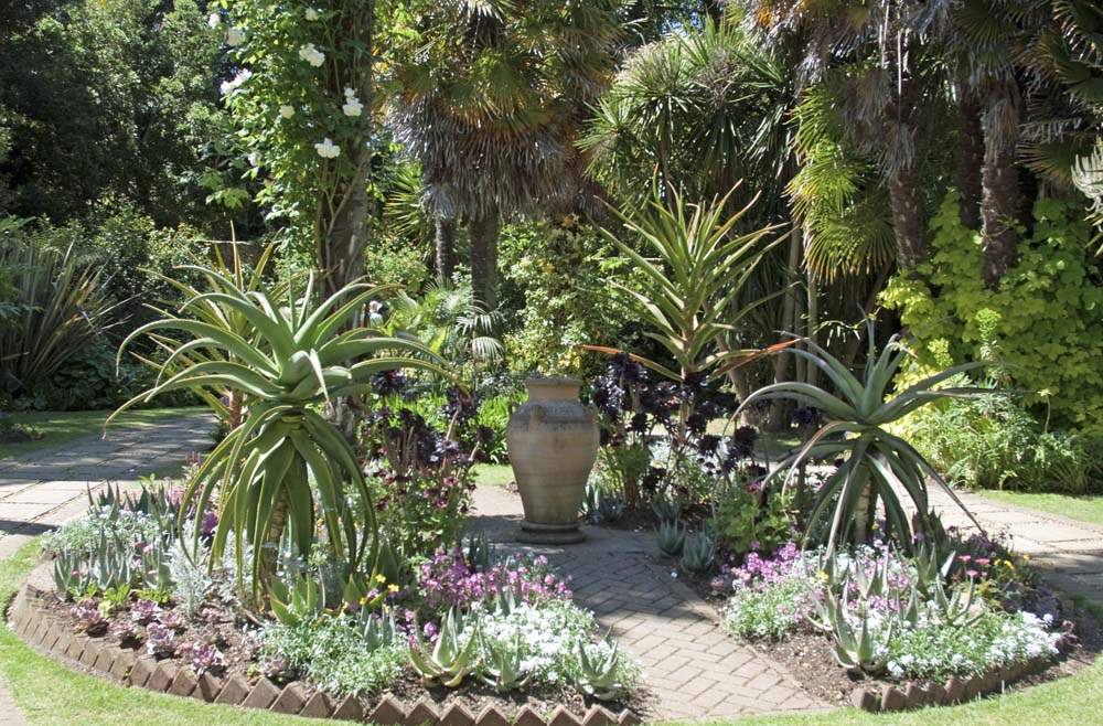 Abbotsbury Subtropical Gardens, Dorset